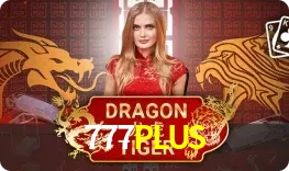 Dragon Tiger